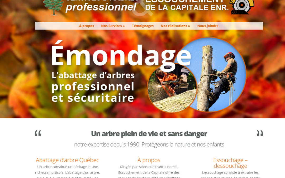 Essouchement de la capitale