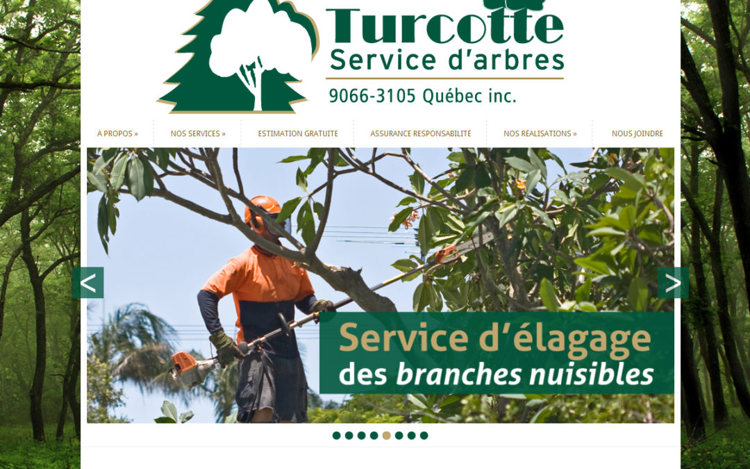 Turcotte service d&rsquo;arbre