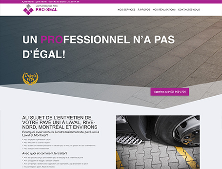 Traitement de pavés Pro-Seal