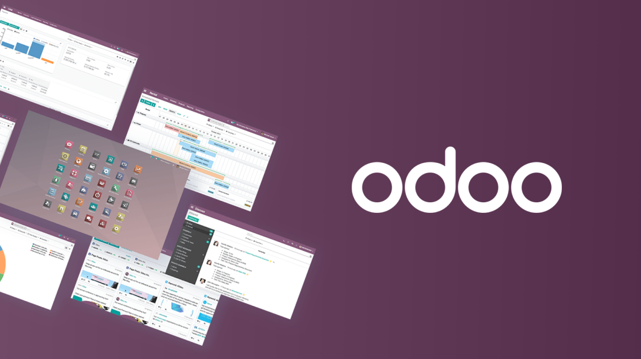 Service d'intégrateur et consultant Odoo - Agence Medialogue situé à Montréal