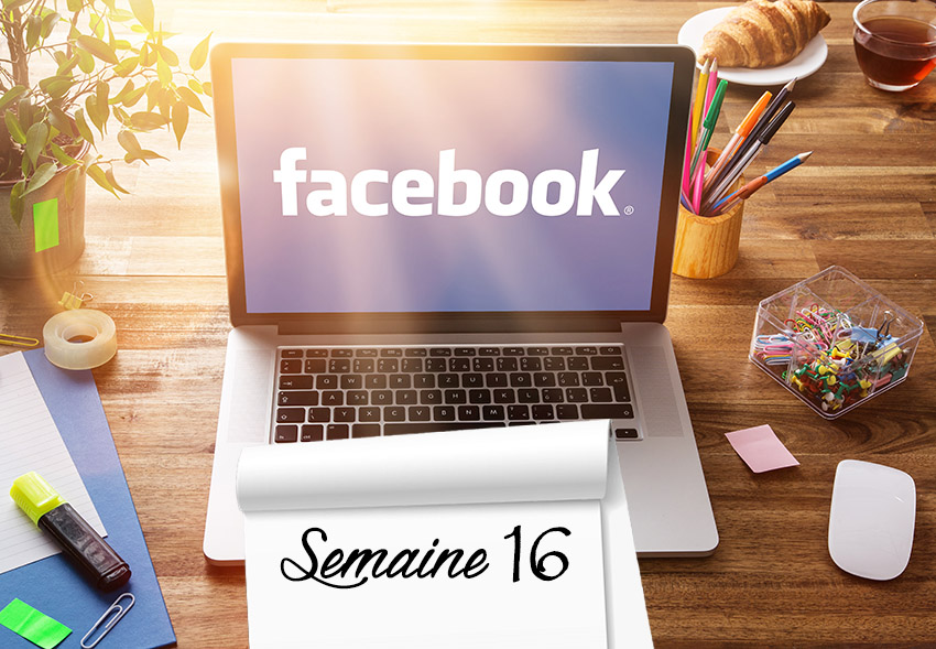 Marketing web et Facebook : L’envol d’une page (semaine 16)