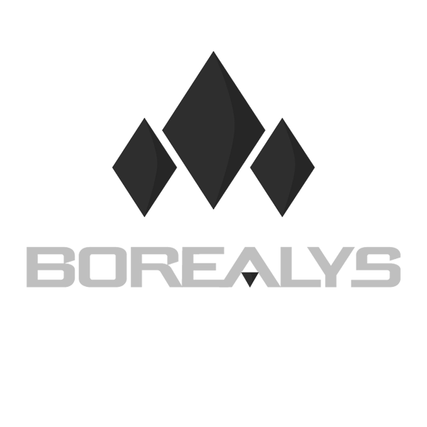 Borealys Logo / Our major projects at Medialogue